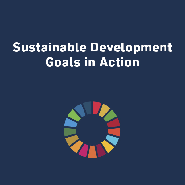 SDGs in Action