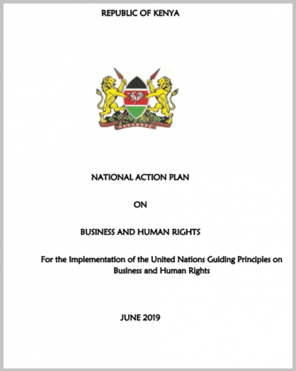 National Action Plan on Business and Human Rights (NAP)