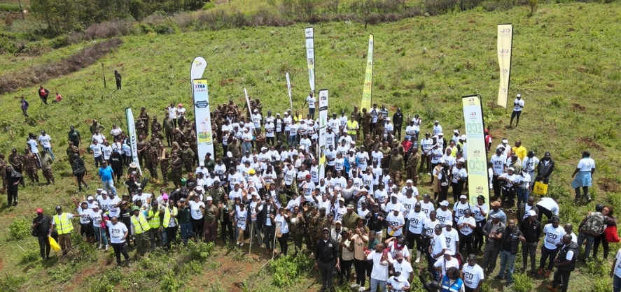 From Seedling to System: How CKL Africa's 15-Year Eco Care Programme is Restoring Kenya's Forests and Feeding Its Future